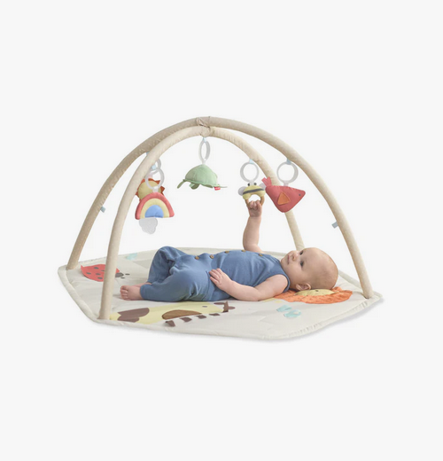 Skip Hop Geometric Wonders Activity Gym