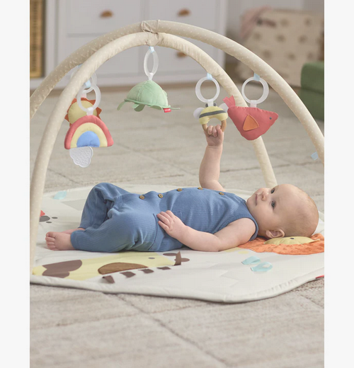 Skip Hop Geometric Wonders Activity Gym