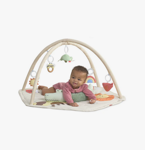Skip Hop Geometric Wonders Activity Gym
