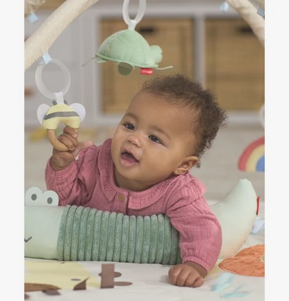 Skip Hop Geometric Wonders Activity Gym