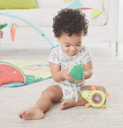 Skip Hop Farmstand Avocado Stroller Toy
