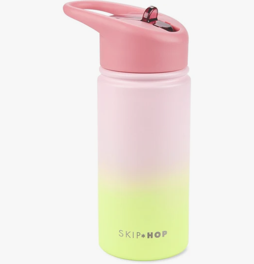 Skip Hop Wander Stainless Steel Water Bottle
