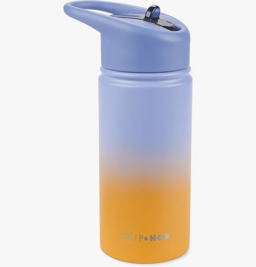 Skip Hop Wander Stainless Steel Water Bottle