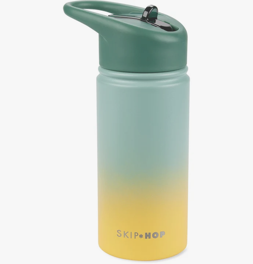 Skip Hop Wander Stainless Steel Water Bottle