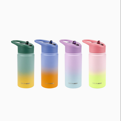 Skip Hop Wander Stainless Steel Water Bottle