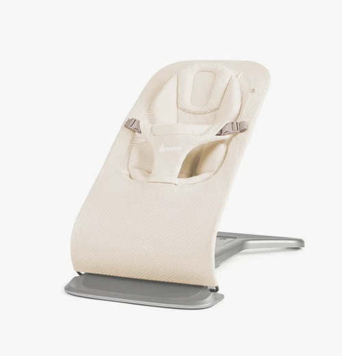 Ergobaby Evolve Bouncer