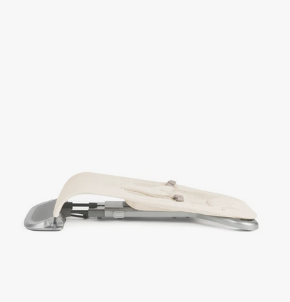 Ergobaby Evolve Bouncer