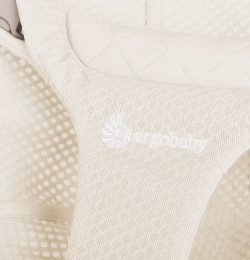 Ergobaby Evolve Bouncer