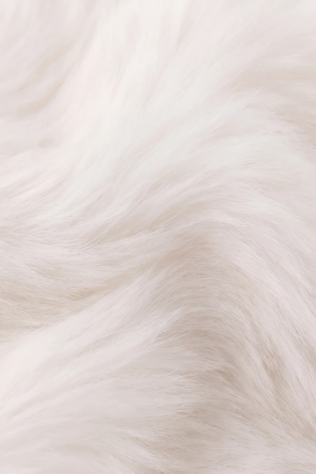 Snuggle Bunnies - Moon the Kitty