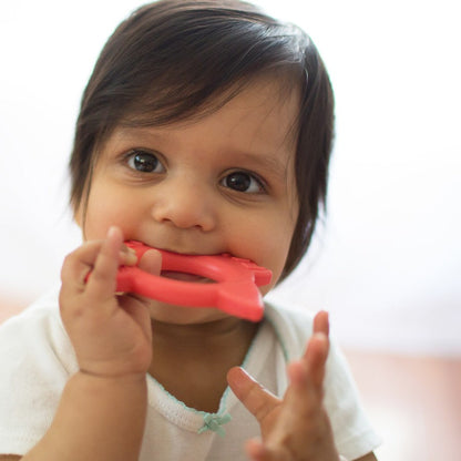 Dr Brown's Flexees Friends Teether - Fox