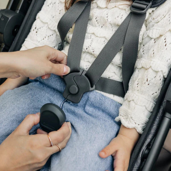 UPPAbaby Vista V3 With Bassinet