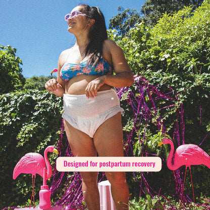 Viva La Vulva Postparty Pants - Postpartum Disposable Underwear