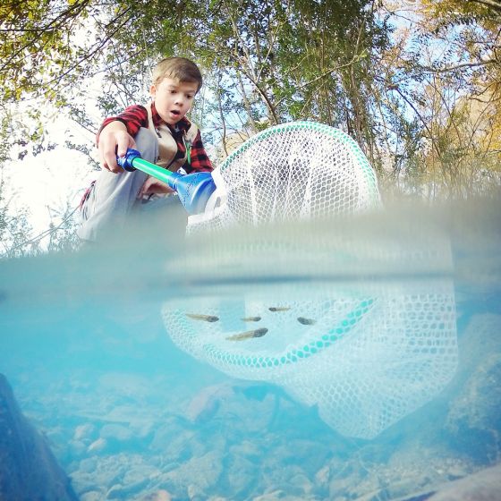 Wild Adventure Capture Net