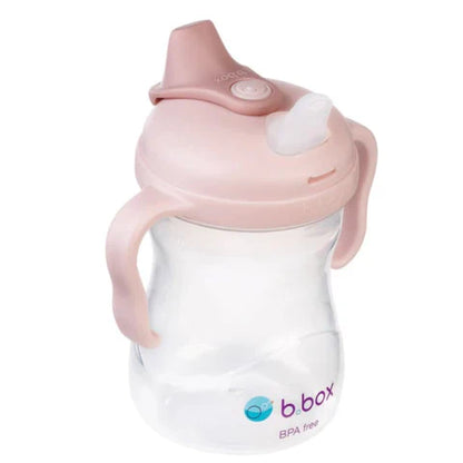 B.Box Spout Cup