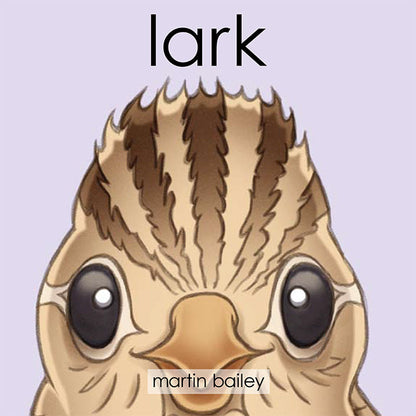 Black Chook Books Baby Book