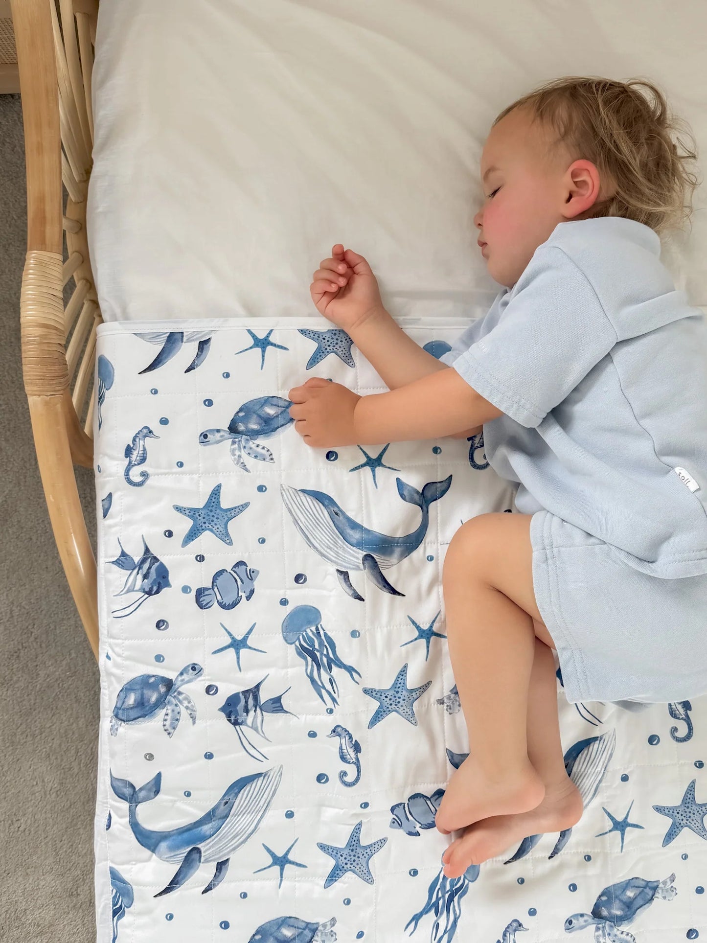 Brolly Sheets King Single Patterned with Wings