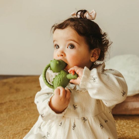 Jellystone Designs Dino Teether