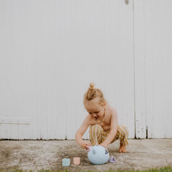 Jellystone Designs Narwhal Shape Sorter