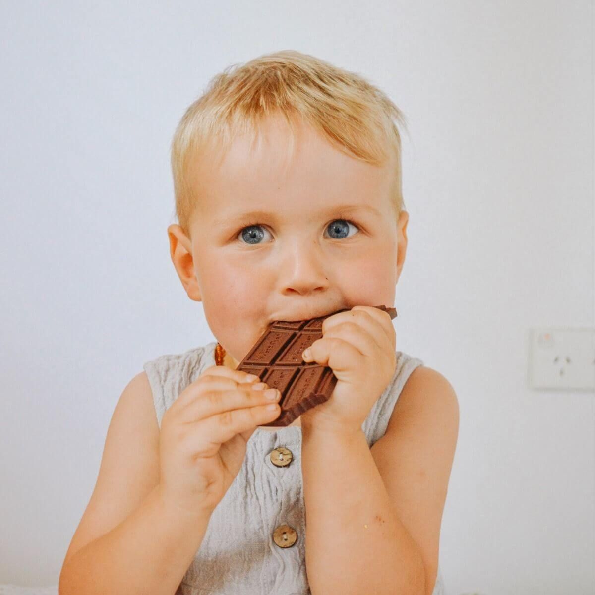 Jellystone Designs Chocolate Bar Teether