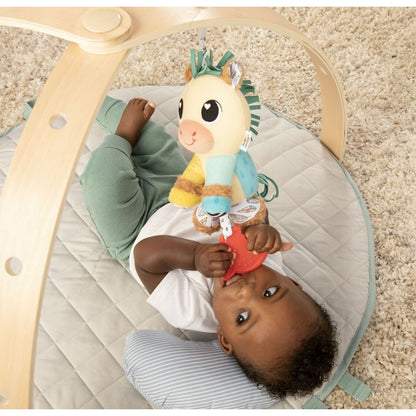 Lamaze Carson the Clydesdale Clip &amp; Go