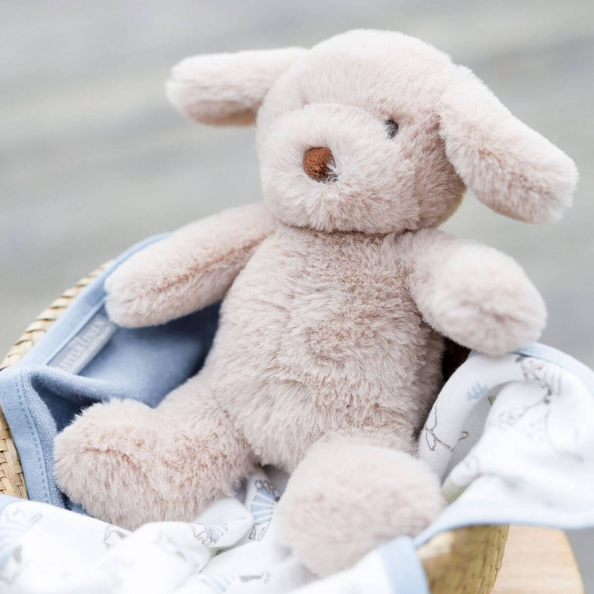 Little Linen Plush Toy &amp; Washers