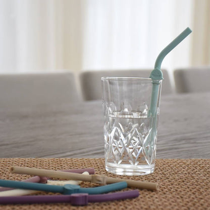 Melii Luxe Silicone Animal Straws with Cleaning Brush