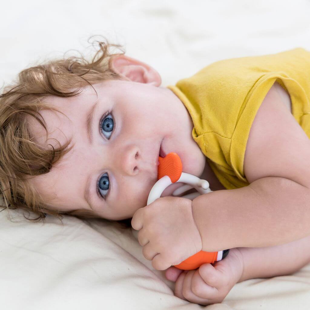 Mombella Clownfish Soothing Teether Toy