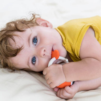 Mombella Clownfish Soothing Teether Toy