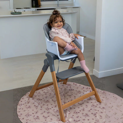 Moose Frankie Foldable High Chair