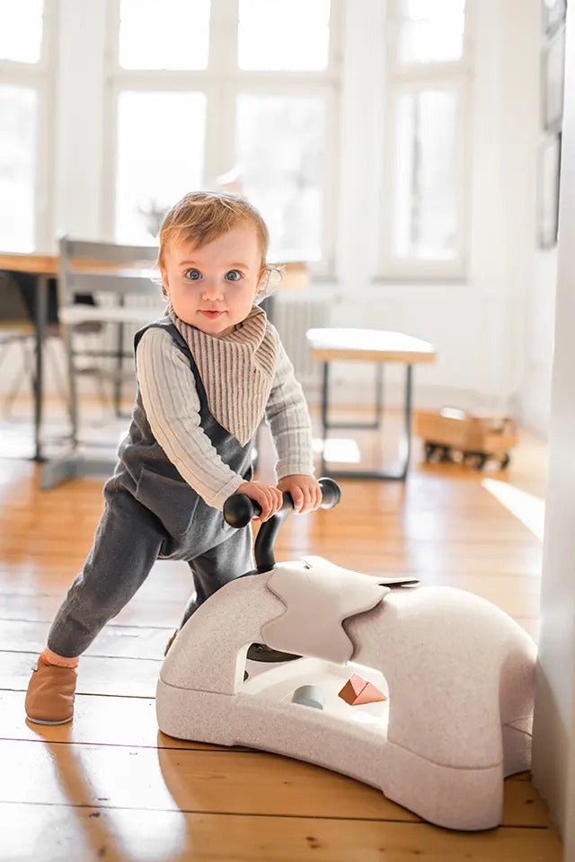 Scoot and Ride My First