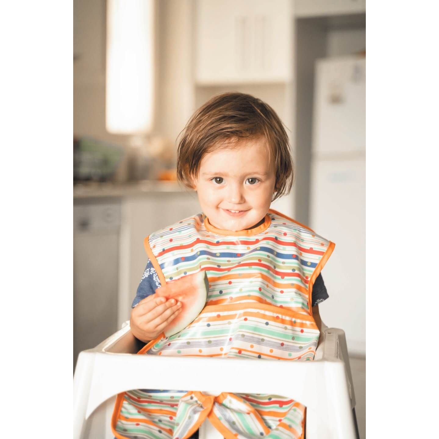 Silly Billyz Wipe Clean High Chair Hugger Bib
