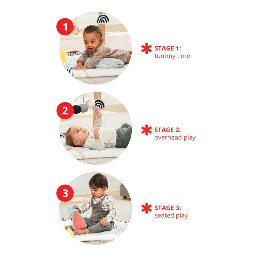 Skip Hop Discoverosity Deluxe Activity Gym