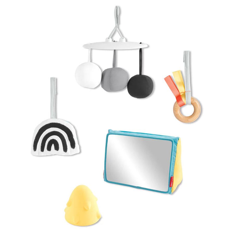 Skip Hop Discoverosity Deluxe Activity Gym