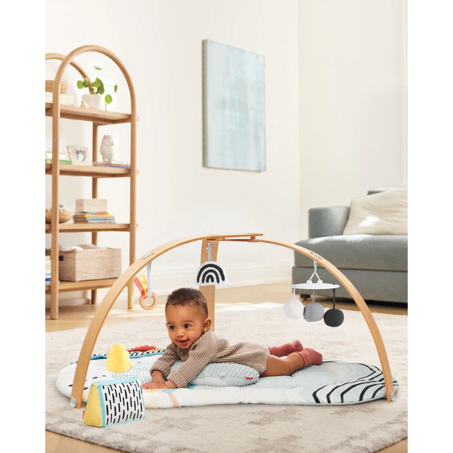 Skip Hop Discoverosity Deluxe Activity Gym