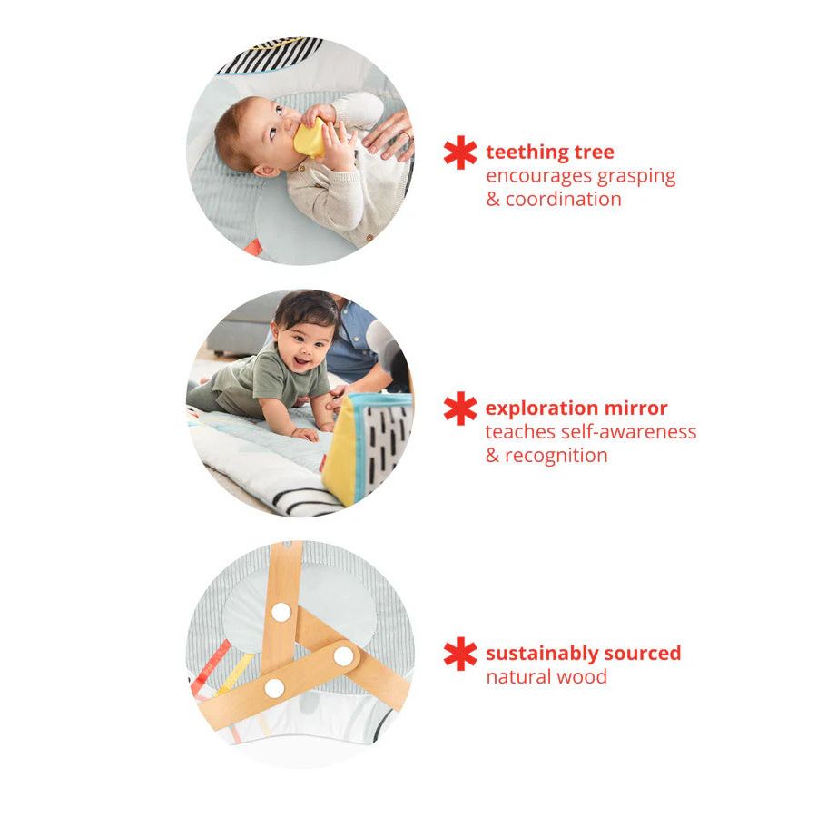 Skip Hop Discoverosity Deluxe Activity Gym