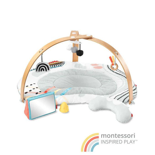 Skip Hop Discoverosity Deluxe Activity Gym