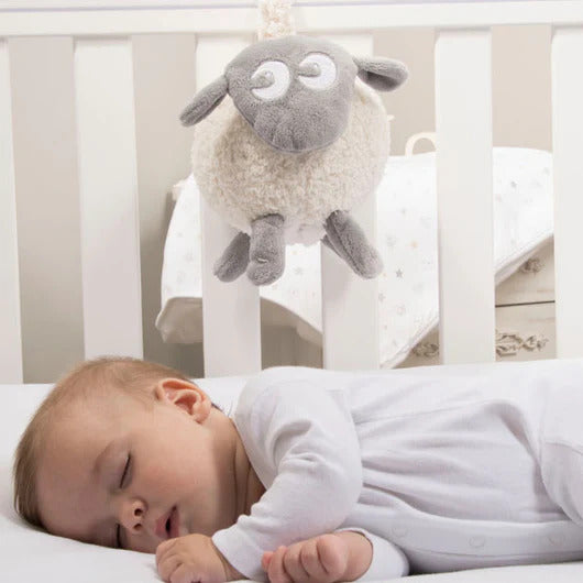 Sweet Dreamers Ewan the Dream Sheep