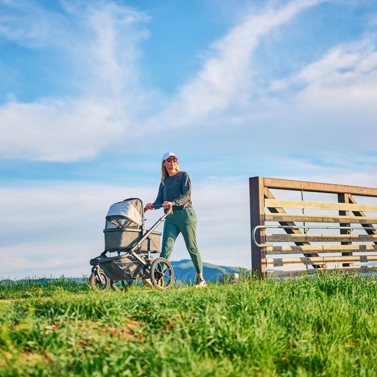 Veer Switchback Bassinet