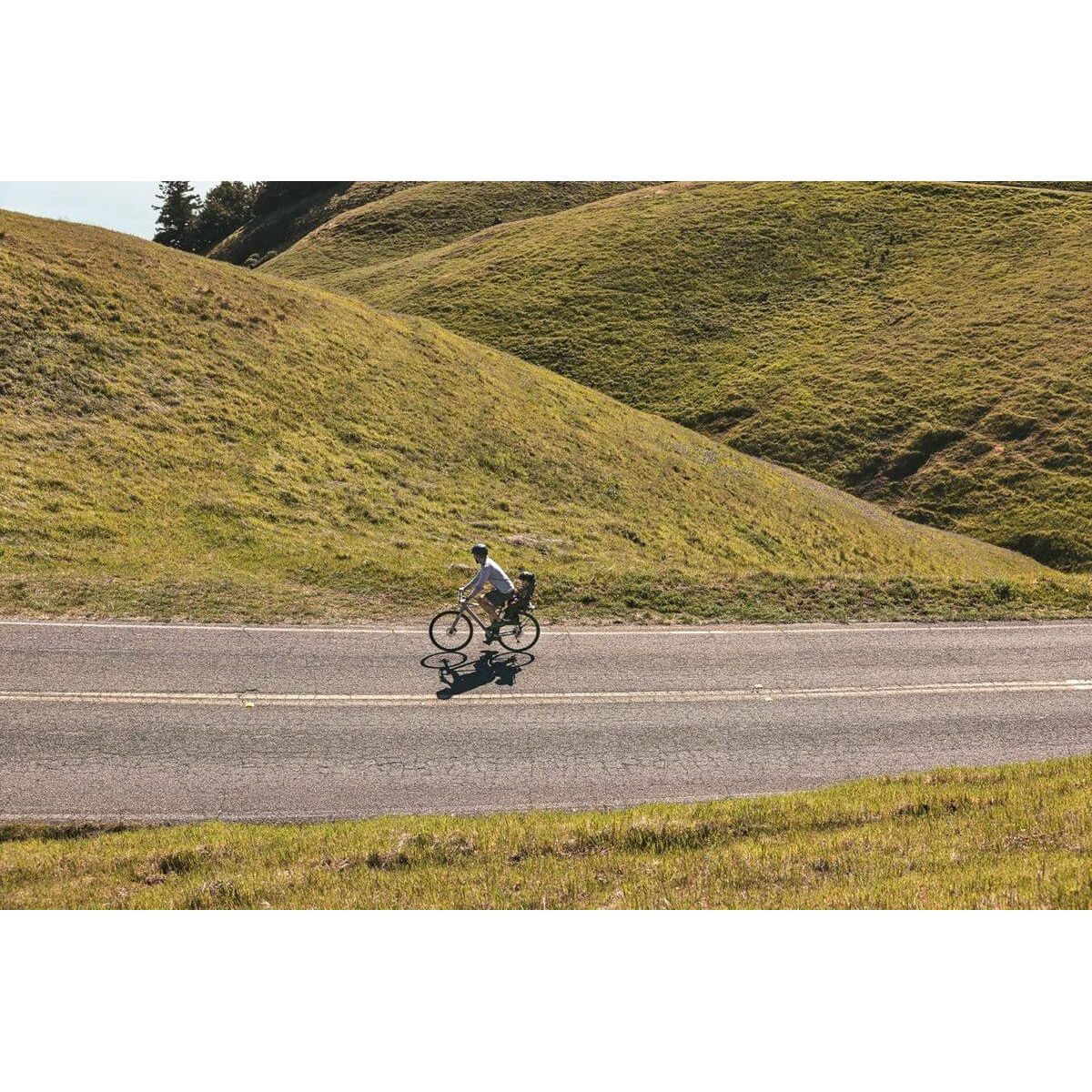 Veer &amp;Bike Bike Mount &amp; Rack