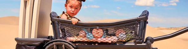 Stroller Wagons