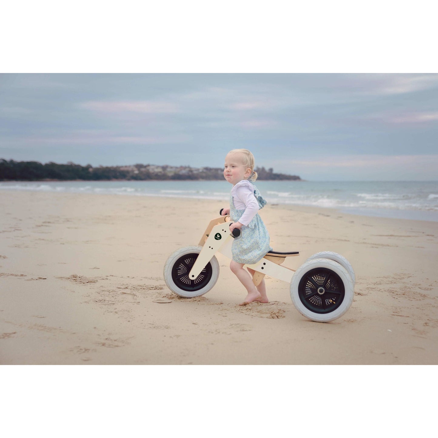 Wishbone Bike 3-in-1 Penguin
