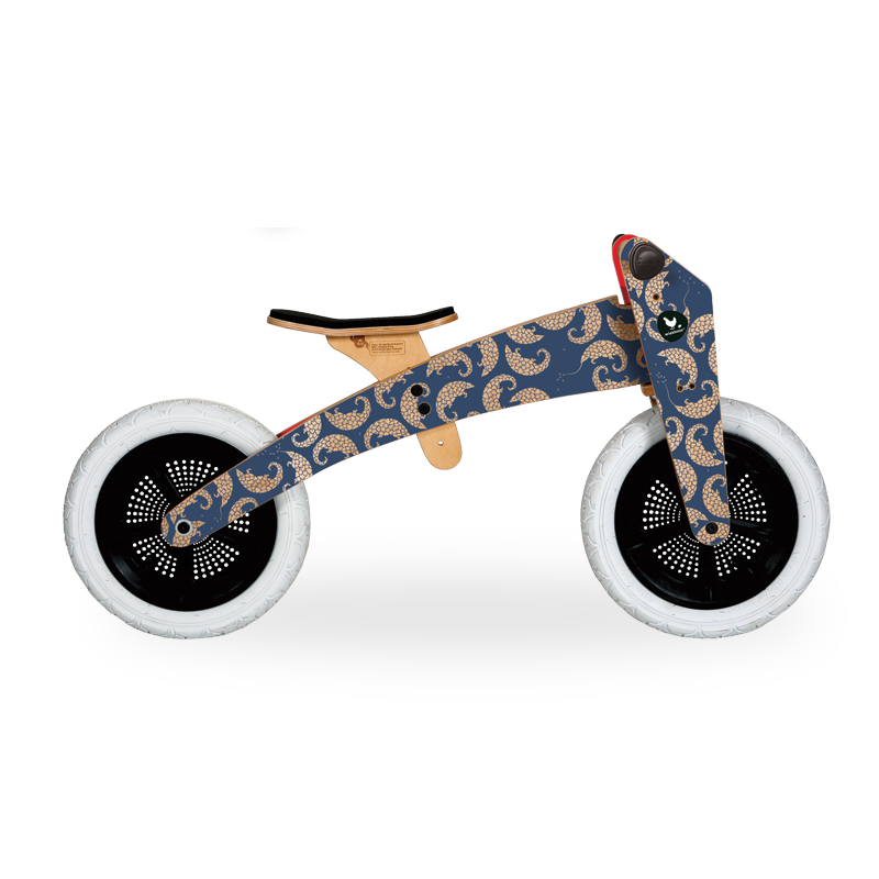 Wishbone Bike 3-in-1 Pangolin