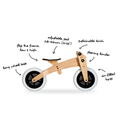 Wishbone Bike 3-in-1 Pangolin