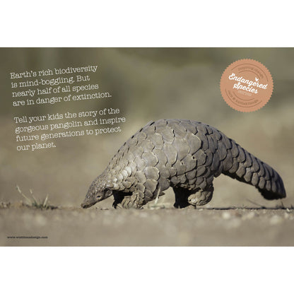 Wishbone Bike 3-in-1 Pangolin