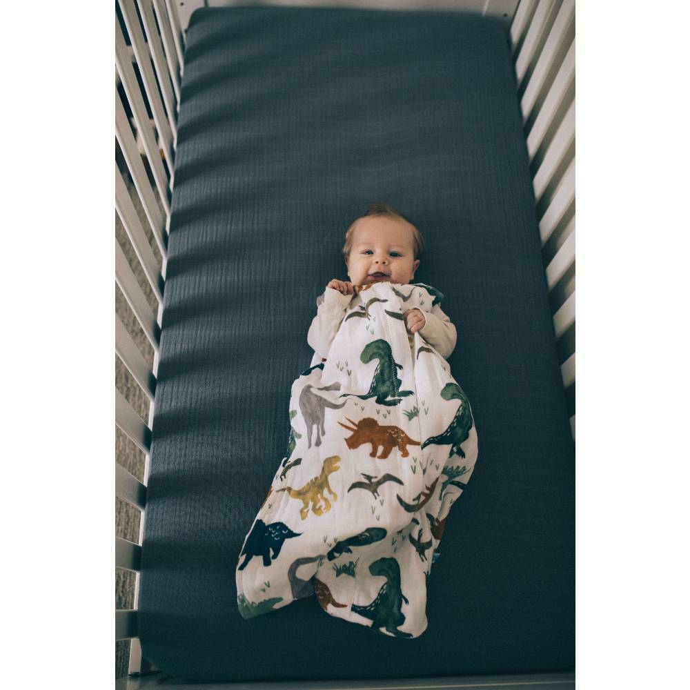 little-unicorn-muslin-sleeping-bag-dino-friends-ls3
