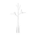 Boon Twig