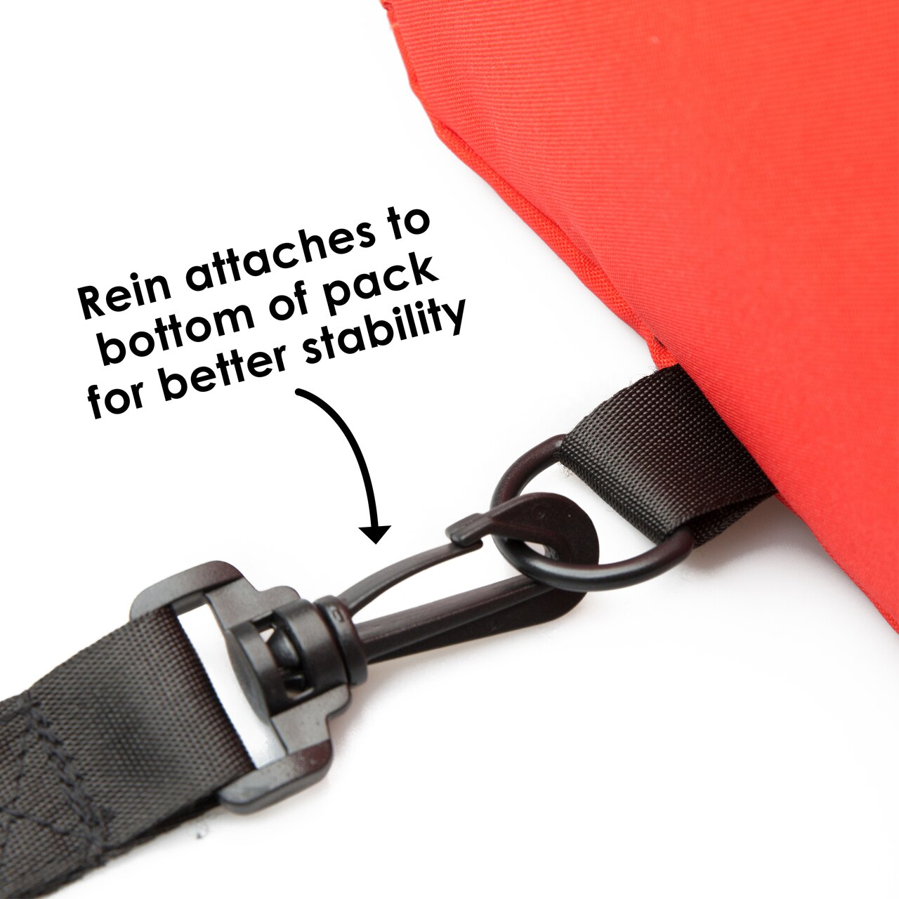 Diono Character Safety Reins Backpack Baby On The Move