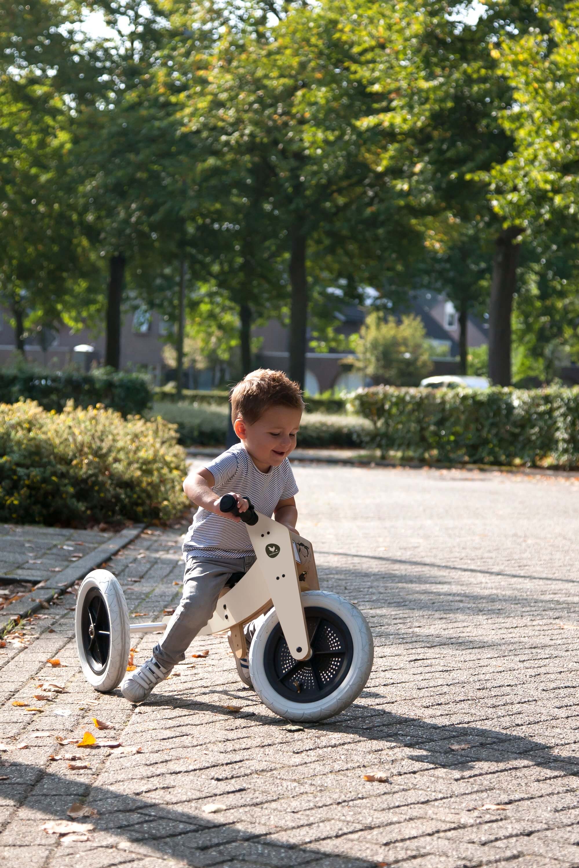 Wishbone bike 3 in 1 hotsell