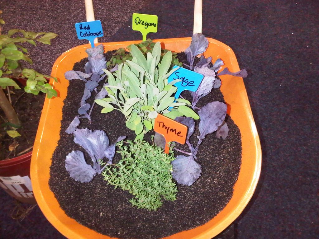 twigz-plant-labels-2