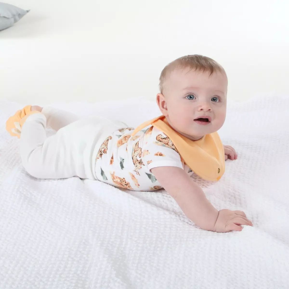ap321_little-bee-by-dimples-cotton-bodysuit-ls2